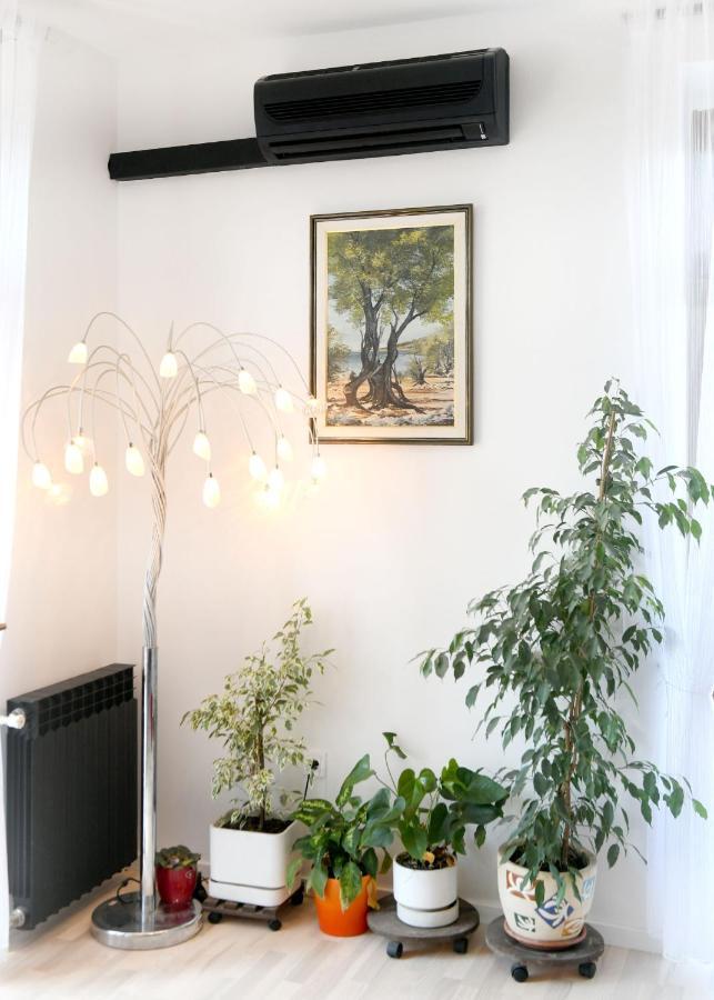 Divia Apartment 里耶卡 外观 照片
